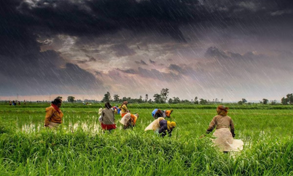 Weather Update: 25-26 अक्टूबर को लेकर मौसम विभाग ने जारी की चेतावनी, पढ़ें मौसम का हाल…