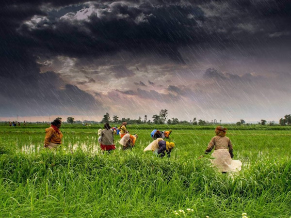 Weather Update: 25-26 अक्टूबर को लेकर मौसम विभाग ने जारी की चेतावनी, पढ़ें मौसम का हाल…